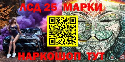 спайс Гатчина