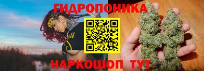 спайс Гатчина