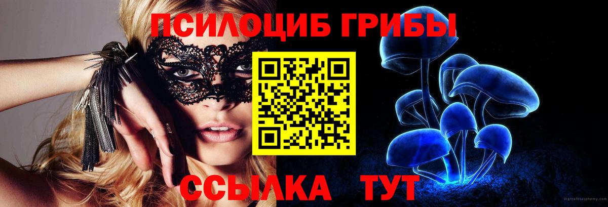 Галлюциногенные грибы GOLDEN TEACHER Чебоксары